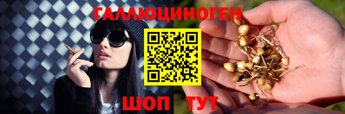 Псилоцибиновые грибы Psilocybine cubensis  Вход с VPN  Галлюциногенные грибы Psilocybe  Каменск-Шахтинский 