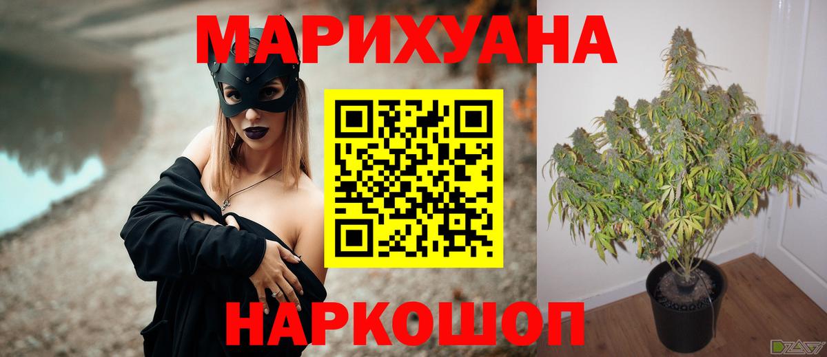 Канабис конопля Каменск-Шахтинский